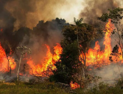 Опасност от пожари в 7 области на страната