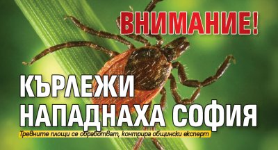 Внимание! Кърлежи нападнаха София