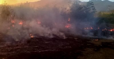 Пожар бушува край границата ни с Гърция 