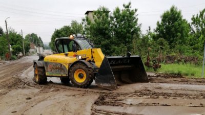 Уволниха директора на "Държавно горско стопанство - Места"