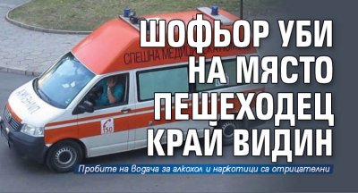 Шофьор уби на място пешеходец край Видин 