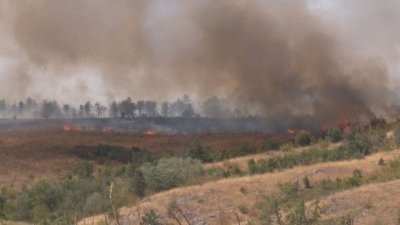 Голям пожар вилнее в борова гора край Харманли