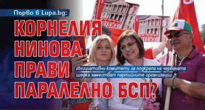 Първо в Lupa.bg: Корнелия Нинова прави паралелно БСП?