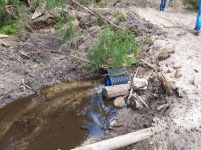 Уволниха шеф на Горското заради калта от чешмите в Рибново
