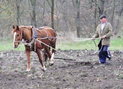 НА ДВЕ СКОРОСТИ: Гражданите треперят от кризата, селяните са спокойни