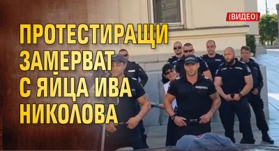 Протестиращи замерват с яйца Ива Николова (ВИДЕО)