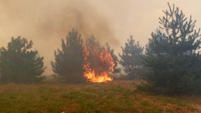 Пожарите в Хасковско са потушени