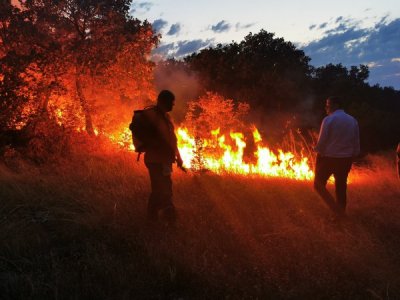 Пламъците погълнаха нови 500 декара в Хасковско 