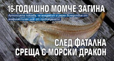 16-годишно момче загина след фатална среща с морски дракон