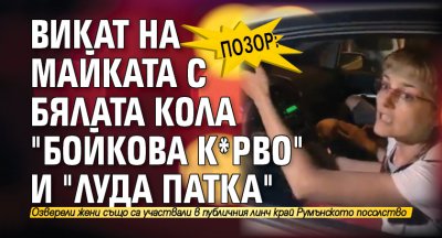 Позор: Викат на майката с бялата кола "Бойкова к*рво" и "луда патка" (ВИДЕО)