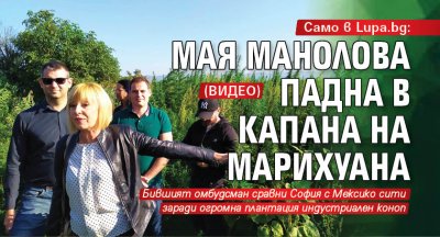 Само в Lupa.bg: Мая Манолова падна в капана на марихуана (ВИДЕО)
