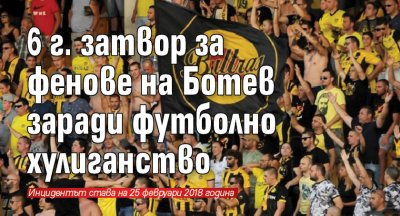 6 г. затвор за фенове на Ботев заради футболно хулиганство