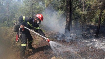 Голям пожар избухна на Пелопонес