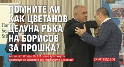 Помните ли как Цветанов целуна ръка на Борисов за прошка? (ХИТ ВИДЕО)