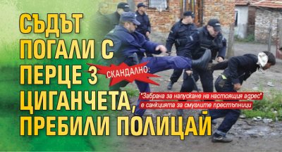 СКАНДАЛНО: Съдът погали с перце 3 циганчета, пребили полицай