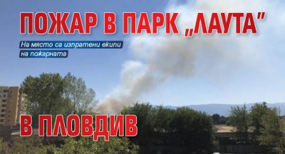 Пожар в парк "Лаута" в Пловдив