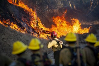 5 окръга в извънредна ситуация заради огъня в Калифорния 