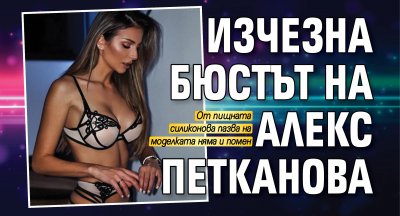 Изчезна бюстът на Алекс Петканова