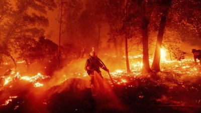 Огненият ад в САЩ: Повече от 20 жертви, десетки са в неизвестност
