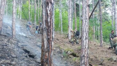 10 вили изгоряха до основи в карловско село