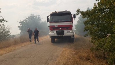 Пожар пламна в бившия консервен комбинат на Русе – "Дунавия“