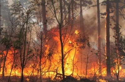 Жесток пожар бушува между Стара Загора и Хасково 