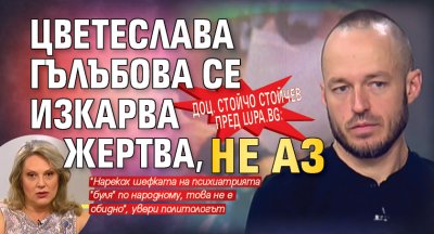 Доц. Стойчо Стойчев пред Lupa.bg: Цветеслава Гълъбова се изкарва жертва, не аз 