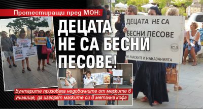 Протестиращи пред МОН: Децата не са бесни песове!