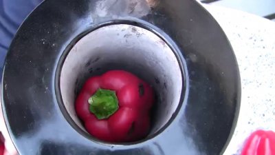 Чушкопек уби бургазлия