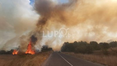 Само в Lupa.bg: Адски огън захапа Сакар планина