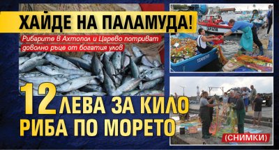 Хайде на паламуда! 12 лева за кило риба по морето (СНИМКИ)