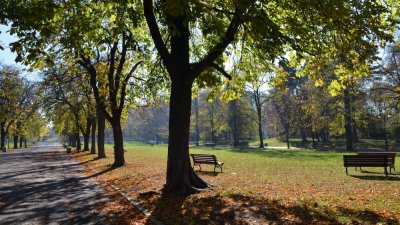Очаква ни слънчева, но ветровита събота
