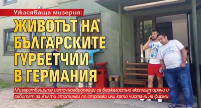 Ужасяваща мизерия: животът на българските гурбетчии в Германия