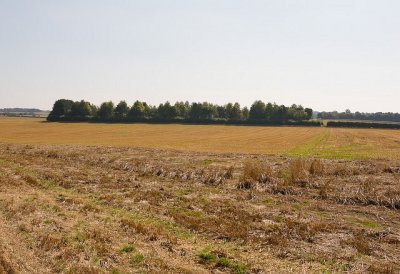 Откриха труп в полето край Суходол