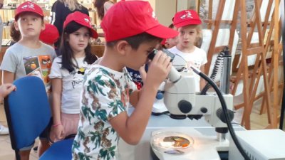 Фестивал на пеперудите се провежда в Пловдив