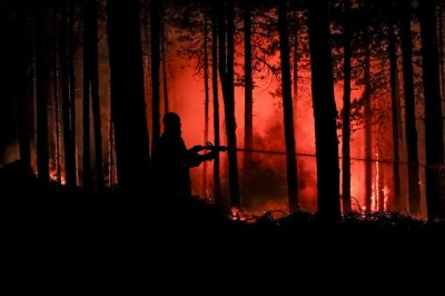 Голям пожар пламна в Благоевградско
