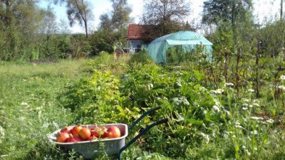 Румъния маха ДДС за здравословни храни