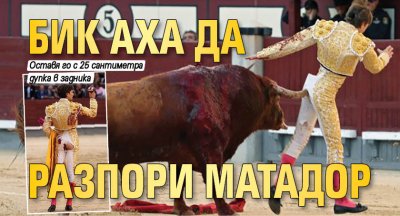 Бик аха да разпори матадор