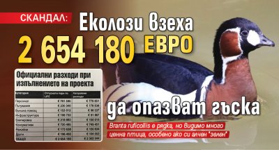 СКАНДАЛ: Еколози взеха 2 654 180 евро да опазват гъска