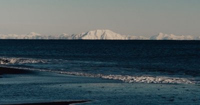 Mасово измират морските животни в Камчатка