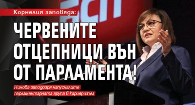 Корнелия заповяда: Червените отцепници вън от парламента!