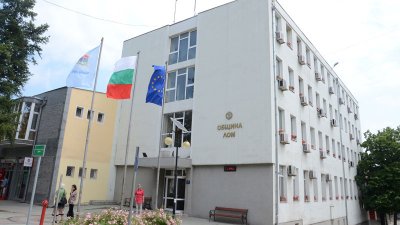 Нахапана от бездомни кучета жена осъди общината в Лом