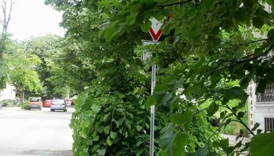 Две трети от пътните знаци са скрити или счупени