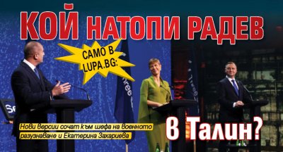 Само в Lupa.bg: Кой натопи Радев в Талин?