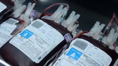Разбиха престъпна група за търговия с кръв в Русенско