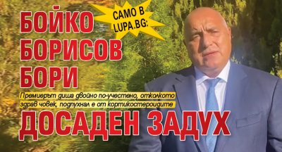 Само в Lupa.bg: Бойко Борисов бори досаден задух