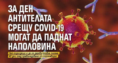 За ден антителата срещу COVID-19 могат да паднат наполовина