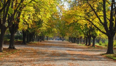 Времето: Хладно и дъждовно