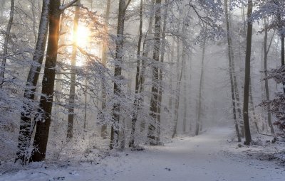 Прогнозата: Снегът иде