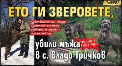 Първо в Lupa.bg: Ето ги зверовете, убили мъжа в с. Владо Тричков (ГАЛЕРИЯ)